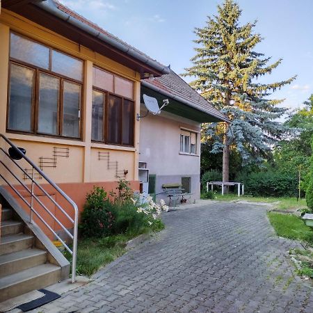 Апартаменты Zadora Haus Сэчеле Экстерьер фото